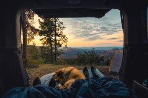 Scenery Camping Tent in Forest