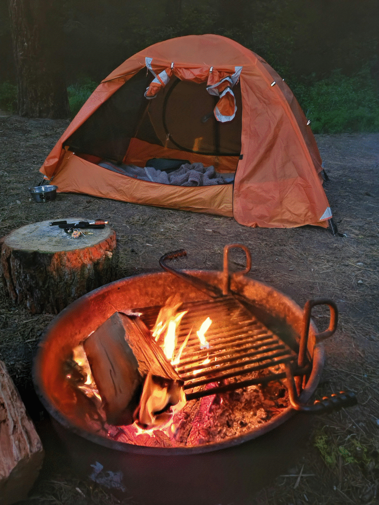 api unggun camping di hutan